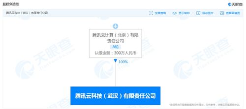 基礎軟件服務的核心價值與未來發(fā)展